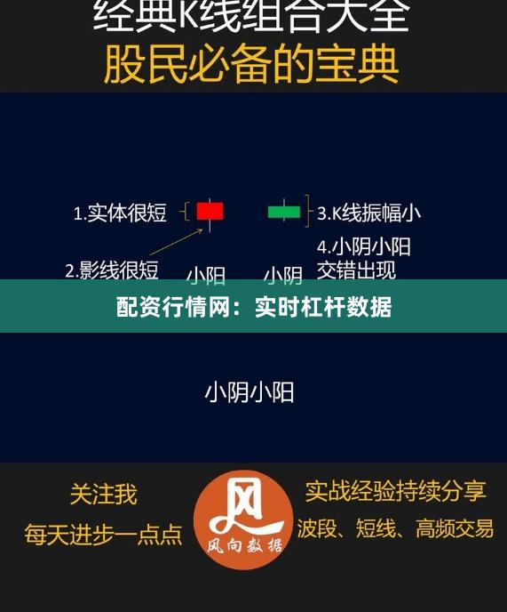 配资行情网：实时杠杆数据